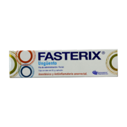FASTERIX UNG C/20 GR
