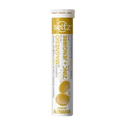SELTZ Magnesio Zinc Jengibre