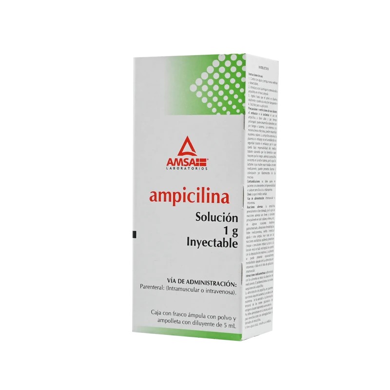 Ampicilina Sol Iny C/1 1 Gr