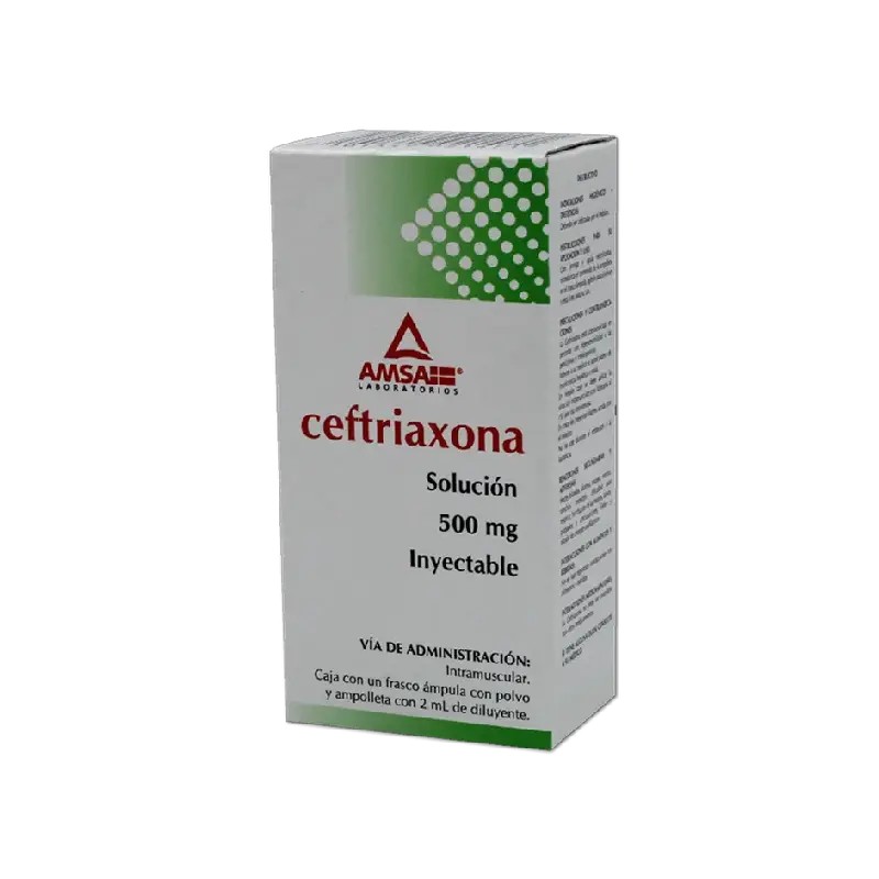 Ceftriaxona IM 500 mg